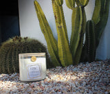 Cactus Flower & SeaSalt